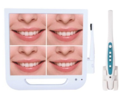 17" PC Mutli media USB disk built in 1/4 SONY CCD Intra ora camera